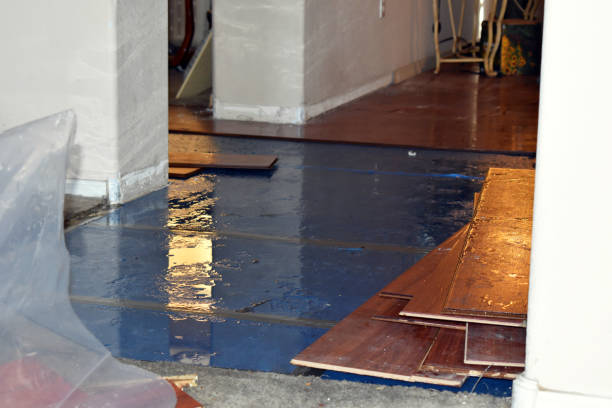 Professional Basement Flood Cleanup technician working in Amsterdam, OH